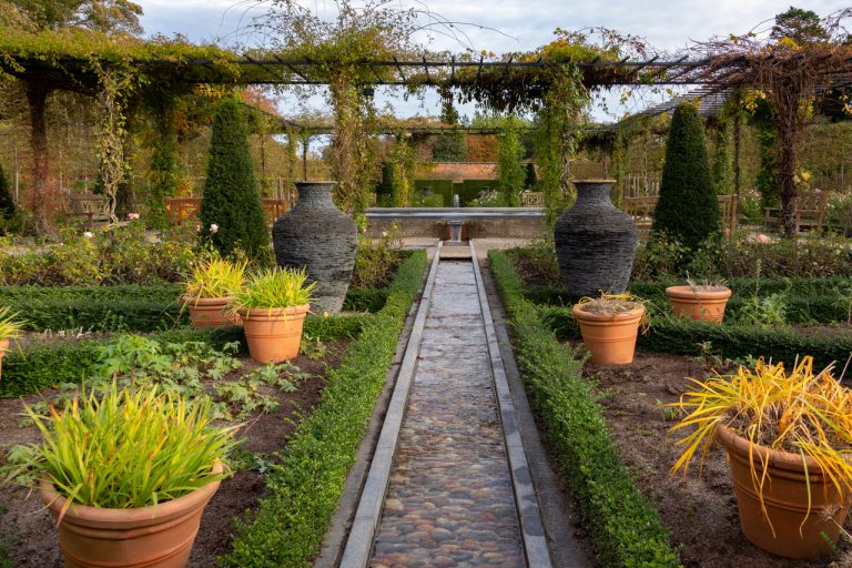 Before & After: Real Student Garden Transformations