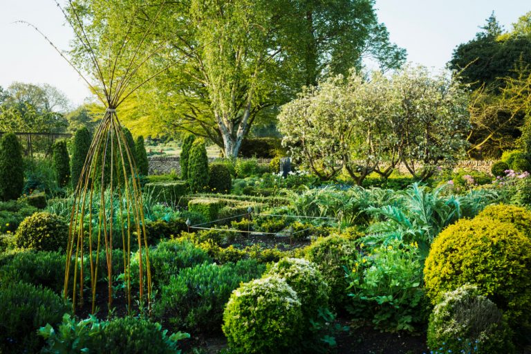 Top 7 Free Tools for Planning Your Garden Design