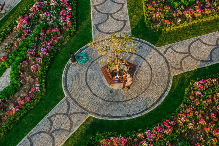 5 Common Landscape Design Mistakes (and How to Avoid Them)